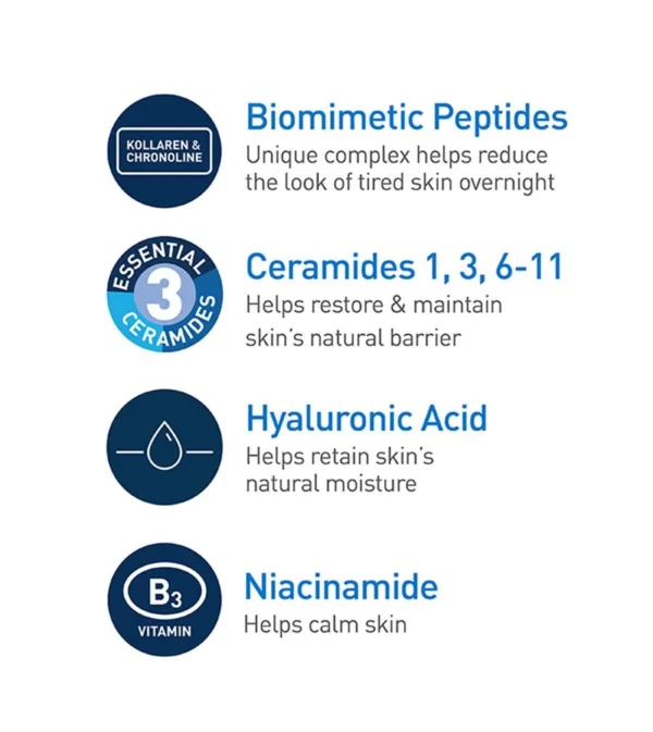Skin Renewing Night Cream - Image 7